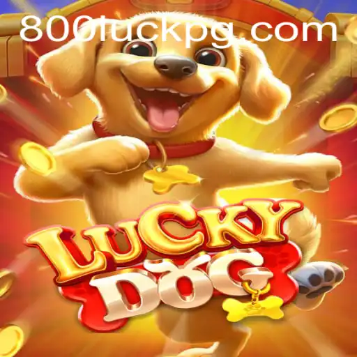Decifrando LuckyDog: Como Jogar e Regras com 800Luck